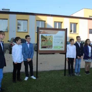 Ekopracownia pod chmurką w PSP nr 9 w Radomsku już działa