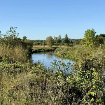 Wielkie sprzątanie w Przedborzu. Pilica odzyskała blask