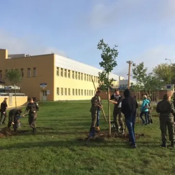 Uczniowie sadzili drzewka