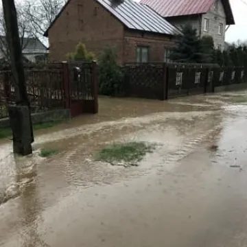 Rowy nie spełniają swojego zadania?