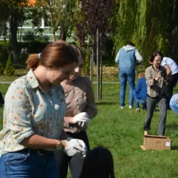 Krokusy zakwitną na „Wielorybku”