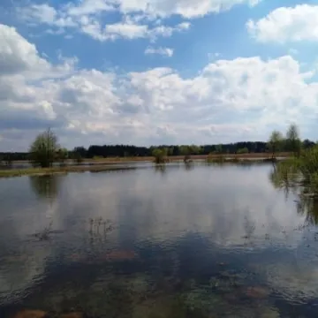 Podtopienia na Topiszu, Bobrach i Szczepocicach 