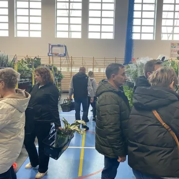 Rośliny opanowały Radomsko. Festiwal Roślin odbył się po raz pierwszy