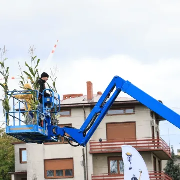 Lokalne tradycje w centrum uwagi podczas święta ziemniaka w Dmeninie