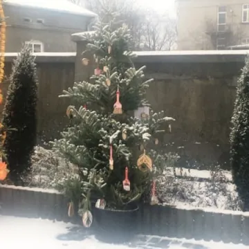 Konkurs na najładniejszą choinkę 