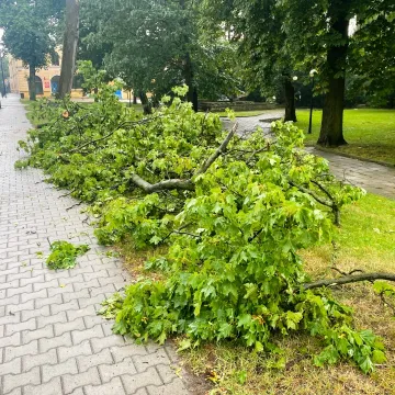 [WIDEO] Potężna nawałnica nad Radomskiem. Strażacy już w akcji