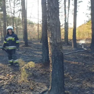 Pożar lasu w Małej Wsi w gm. Żytno