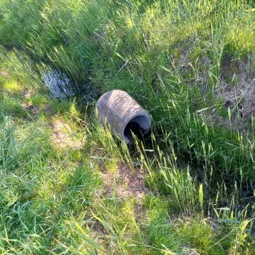Urzędnicy apelują: zostawcie kosze w spokoju!