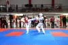 [WIDEO]  Karatecy walczyli na IV Ogólnopolskim Turnieju „Randori Cup” w Radomsku