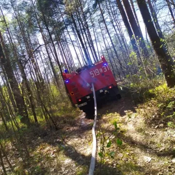 W Myśliwczowie palił się hektar poszycia leśnego