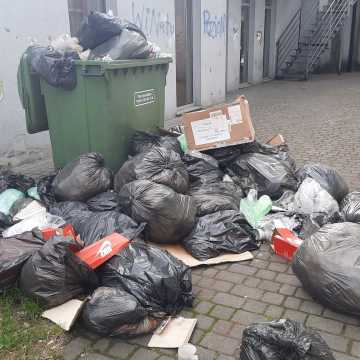 „Morze” śmieci na jednym z podwórek w centrum Radomska