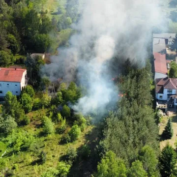 Lasy płoną. W tym roku było już 21 pożarów
