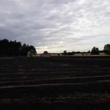 Pożar zboża między Przerębem a Bartodziejami