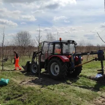 Prezydent Radomska sadził drzewa przy ul. Unii Europejskiej
