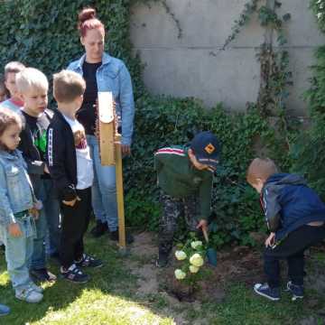 Dzień Zdrowia Roślin z przedszkolakami
