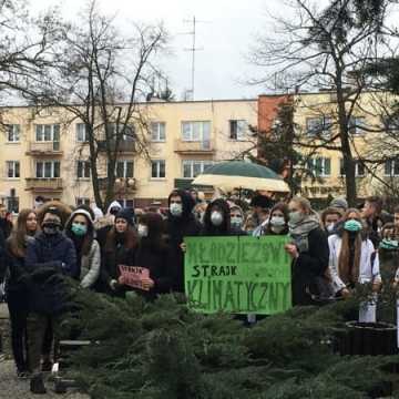 Młodzieżowy strajk klimatyczny w Radomsku