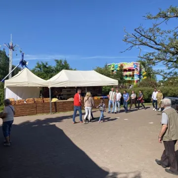 Dni Radomska 2023. Strefa gastro kusi smakołykami