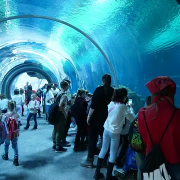 Jednym słowem działo się w pierwszym tygodniu ferii w MDK