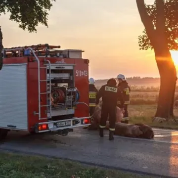 Śmiertelny wypadek na drodze za Przedborzem
