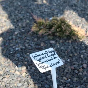 Ekopracownia pod chmurką w PSP nr 9 w Radomsku już działa