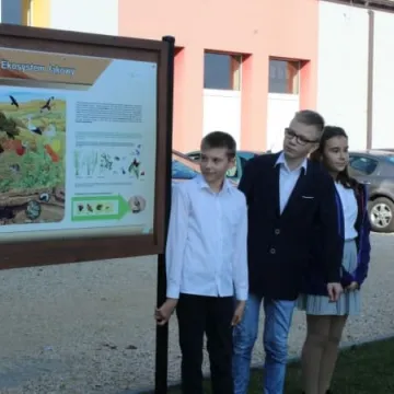 Ekopracownia pod chmurką w PSP nr 9 w Radomsku już działa