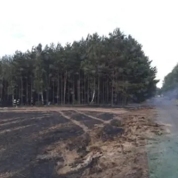 Pożar zboża między Przerębem a Bartodziejami