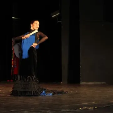 Koncert zespołów folklorystycznych w MDK