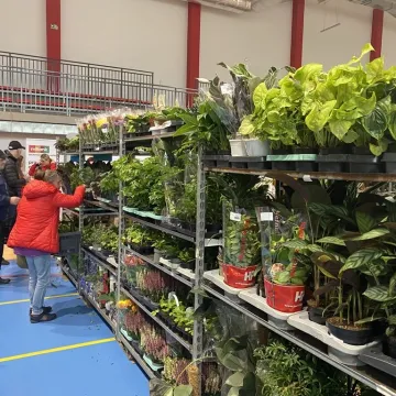 Rośliny opanowały Radomsko. Festiwal Roślin odbył się po raz pierwszy