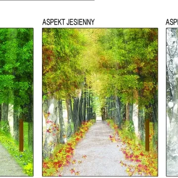 Piotrków Tryb.: park Belzackiego przejdzie metamorfozę