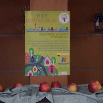 Piknik dla zdrowia i rekreacji