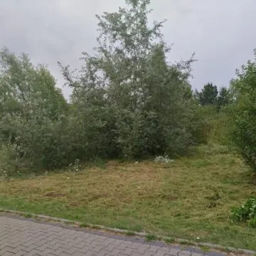 Porządki na Jagiellońskiej