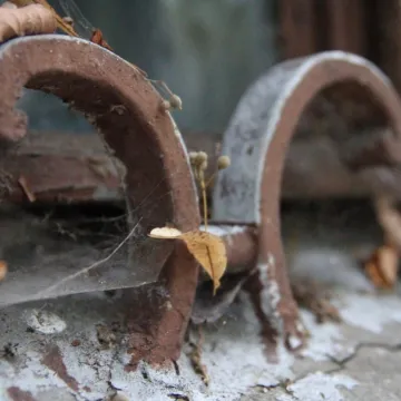 Foto Pozytyw edukuje w Niechcicach