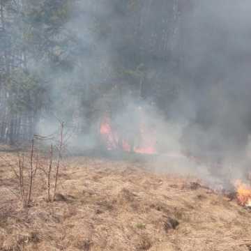 Samoloty gaszą pożary lasów w powiecie radomszczańskim