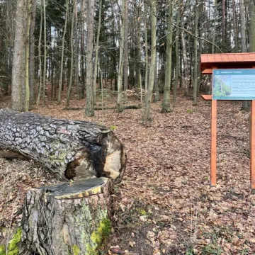 Fotograficy na plenerze