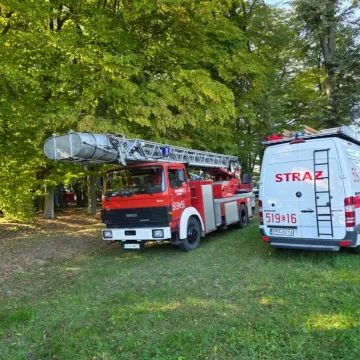 Kobiele Wielkie pożegnały lato