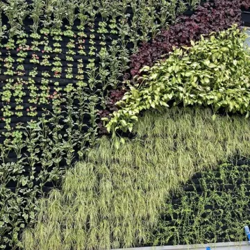 Ogrody wertykalne w Radomsku oficjalnie oddane do użytku