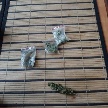 Hodował marihuanę na parapecie