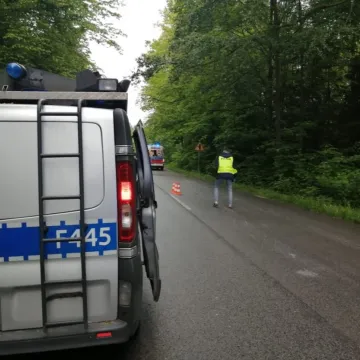 Dwie osoby ranne w wypadku w miejscowości Celina