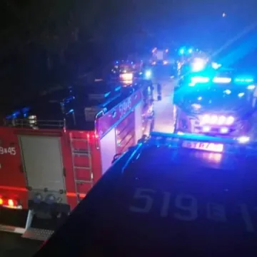 Spłonęło 5 hektarów traw