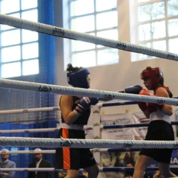 Boks królował w Radomsku