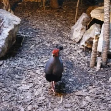 Muzeum Regionalne na wyciecze w Łodzi