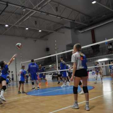 Pokoleniowy turniej klubu Volley Radomsko. Od najmniejszego do największego