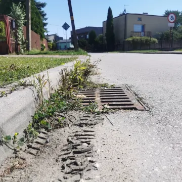 Tylko informujemy! Nie donosimy