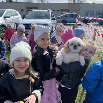 Zajączek ukrył się w PP nr 5 w Radomsku. Dzieci ruszyły na poszukiwania