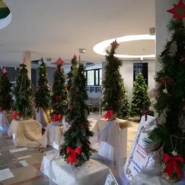 Studenci RUTW „Wiem więcej” przygotowali wystawę choinek w MDK