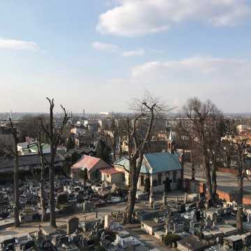Dobiega końca pielęgnacja drzewostanu na Starym Cmentarzu w Radomsku. Będzie też elektroniczna ewidencja drzew