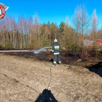Podpalacz po ugaszeniu spodni i bielizny uciekł do lasu