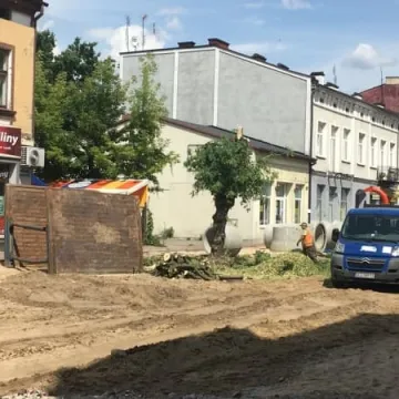 Kolejne drzewa na Reymonta wycięte