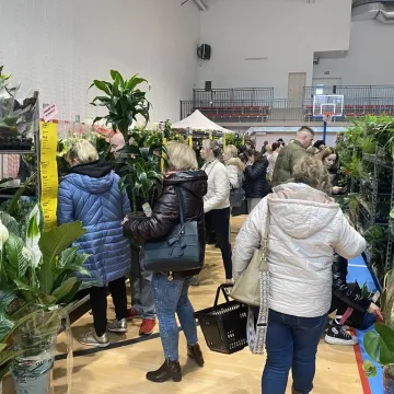 Rośliny opanowały Radomsko. Festiwal Roślin odbył się po raz pierwszy