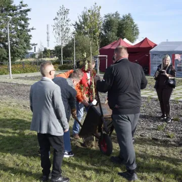 Chillowanie pod Gwiazdami na Gliniankach